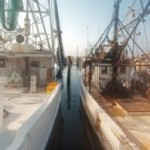 Fishing_Fleet_in_Biloxi