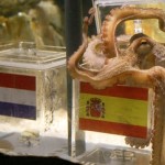 GERMANY-ANIMAL-FBL-WC2010-ESP-NED-OCTOPUS-OFFBEAT