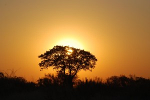 Sunsetbotswana