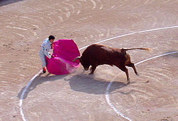 250px-Bull_attacks_matador