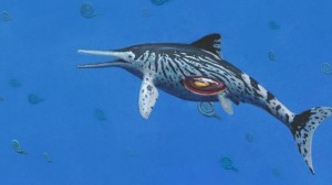 fossiel-van-zwangere-ichthyosaurus-ontdekt-in-museumarchief