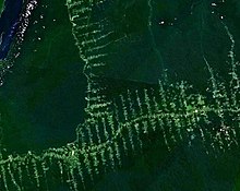 220px-Amazonie_deforestation