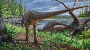 fossiel-van-ruim-honderd-miljoen-jaar-oude-dinosaurus-gevonden-bij-australie