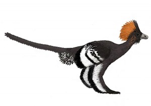 mohawk-dinosaur-825x578