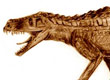 prestosuchus-2