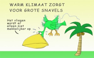 grote-snavel