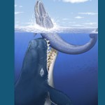 whale-attack-278x225