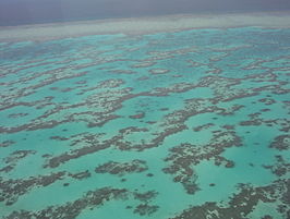 Part_of_Great_Barrier_Reef_from_Helecopter