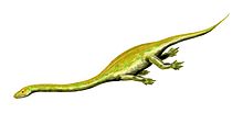 220px-Dinocephalosaurus_BW