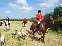 260px-The_local_hunt_arrives_-_geograph_org_uk_-_918101